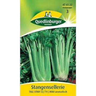 Stangensellerie Tall Utah Quedlinburger